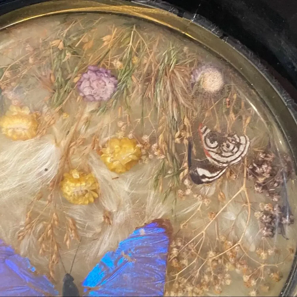 Vintage‎ boho naturals botanical butterfly decorative glass and stoneware plate
